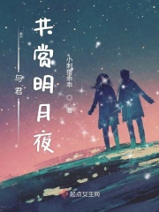 与君共赏明月夜