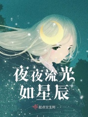 夜夜流光如星辰