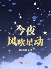 今夜风吹星动