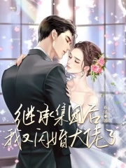 继承集团后,我又闪婚大佬了