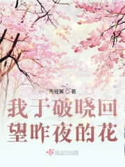 我于破晓回望昨夜的花