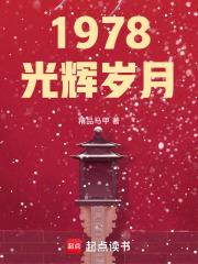 1978光辉岁月