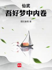 仙武,吾好梦中内卷