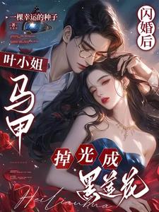 闪婚后,叶小姐马甲掉光成黑莲花