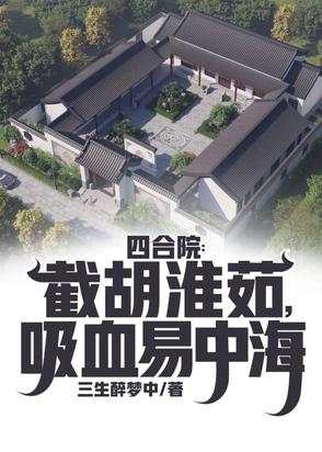 四合院：养老易中海后,原地起飞