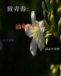 致青春：油桐花开