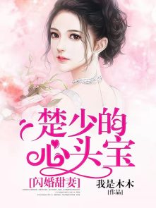 闪婚甜妻,楚少的心头宝