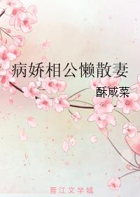 病娇相公懒散妻