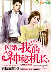 闪婚,我的神秘机长